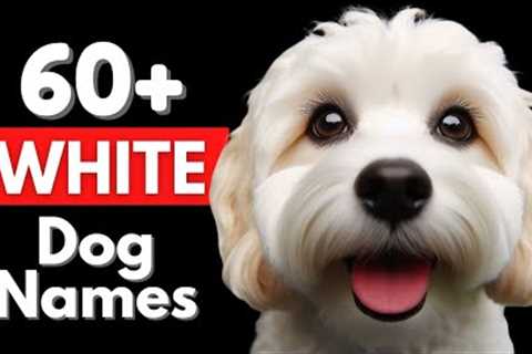 Unique White Dog Names