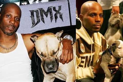 DMX ‘The Loyalty Of Dogs’ | Interviews, Music Videos & Why He Loved Dogs So Much