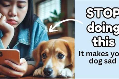 8 Bad Habits dog owners need to stop (in order to have a happy dog)