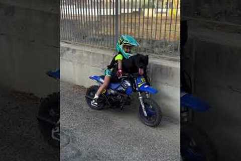 Dog Hops on Minibike and Rides With Boy