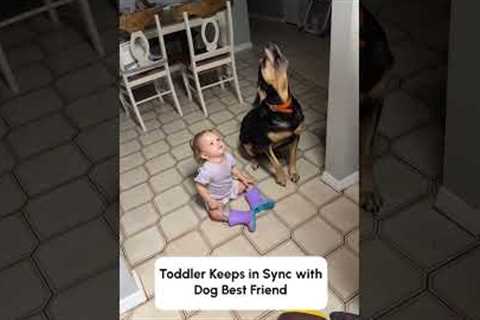 Toddler and Her Dog Hilariously Follow Commands