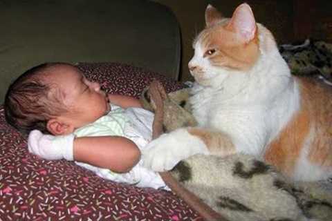 When your cat becomes a little nanny 👶❤️🐱Cute Cats and Human