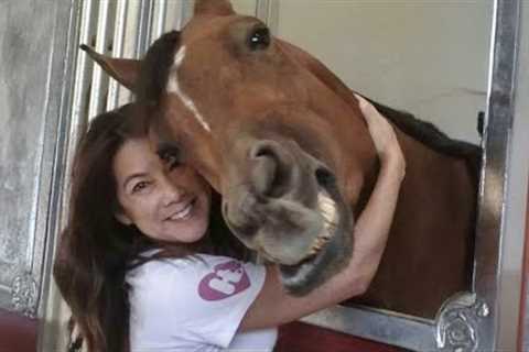 This Horse Displays Head To Head Affection? Cute Horse and Human Moments ✨🐎