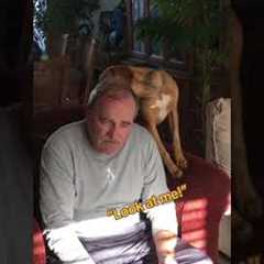 Man Tells Story While Dog Continuously Licks Him