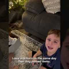 Children Get Christmas Surprise Of A Lifetime! - A New Puppy!