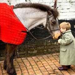 Special Moment between a Little Friend and a Horse ❤️