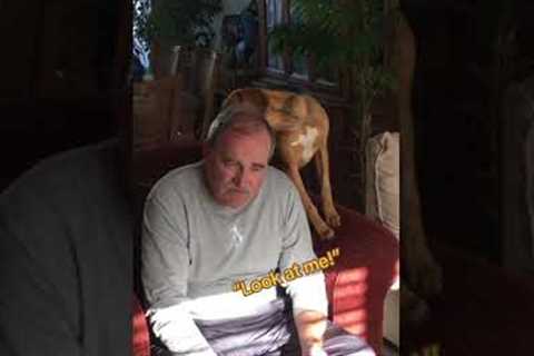 Man Tells Story While Dog Continuously Licks Him