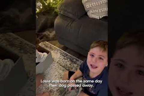 Children Get Christmas Surprise Of A Lifetime! - A New Puppy!