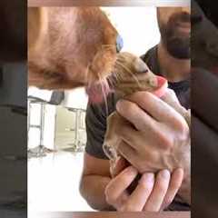 Puppy Has Milk Mustache!