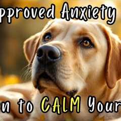 I Played This and My Dog Immediately Relaxed - Scientifically Proven to Calm them in Minutes