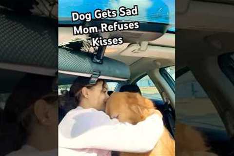 Dog Gets Sad After Kiss Is Rejected!