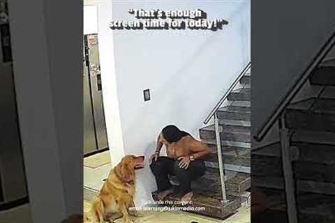 Dog Knocks Woman's Phone Out Of Her Hand