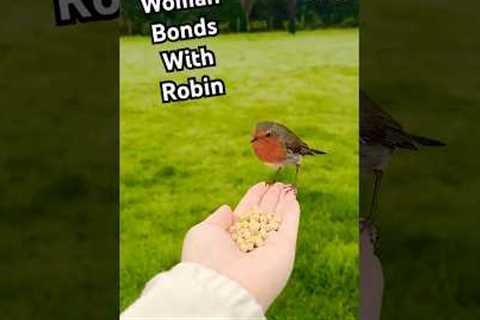 Woman Welcomes Bird Inside for Feast #BirdLovers #Birdwatching #Birds