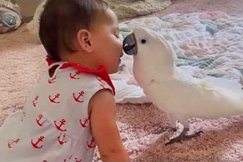 These Gentle Birds Share the Sweetest Connection with Babies