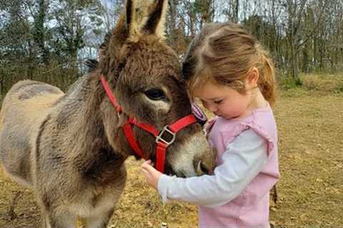 When a Baby Just Found Their Soulmate… And It’s an Animal 😍