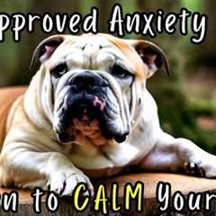 This Calming Video Relaxed My Dog in Seconds - Scientifically Backed