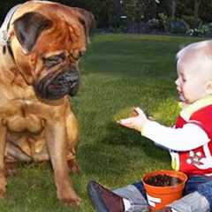When Your Dog and Baby Growing Up Side by Side ❤️
