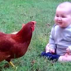 Babies and Animals Become Instant Best Friends💖
