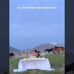 Horses Gallop Past Wedding Reception! 😍