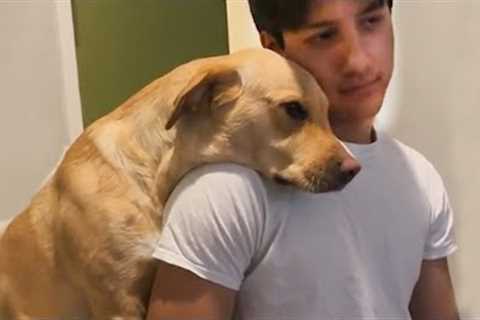 Dogs Don’t Love Everyone, But This Human Is Special ❤️