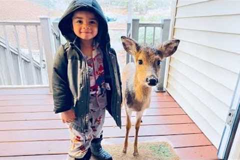 When your baby brings a friend home ❤️ Cute babies and animals