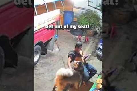 Dog Kicks Dad Out Of His Chair