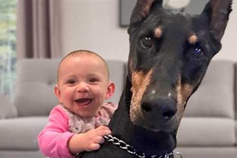 FUNNIEST Baby and Doberman Do Everything Together! ❤️