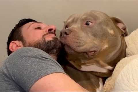 If Doggo thinks it is lap dog, it is lap dog. No discussion!