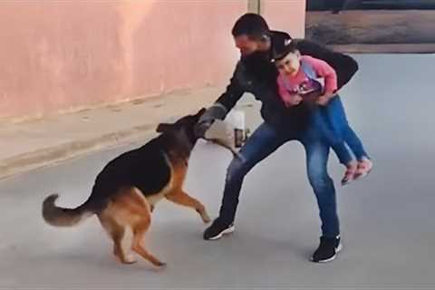 When a dog becomes your family’s guardian angel ❤️