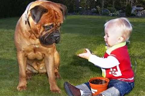 When Your Dog and Baby Growing Up Side by Side ❤️