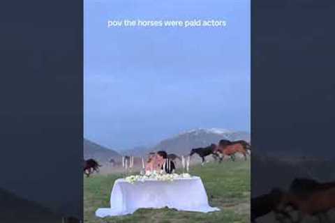 Horses Gallop Past Wedding Reception! 😍