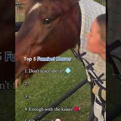 Top 5 Funniest Horses #Horse #FarmAnimals #Top5