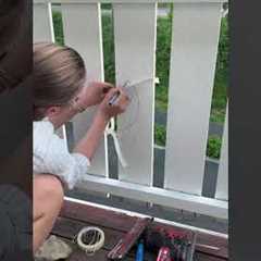 Woman Carves Hole in Railing for Her Dog's To People Watch 🥹🥹