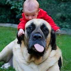 When Children Are RAISED by the LOVE of a Dog 🐶