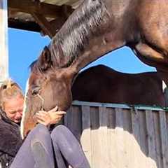 I Used To Think HORSES Were Just STRONG… Until This Moment🐎