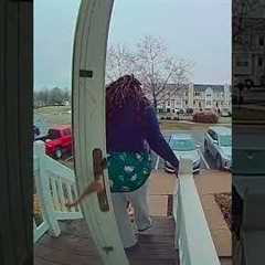 Animal Caught On Camera Moments That Will Have You HOWLING!  #funny #dogs #cat
