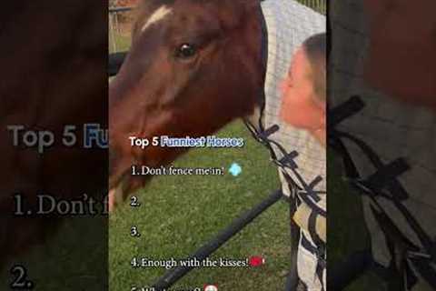 Top 5 Funniest Horses #Horse #FarmAnimals #Top5