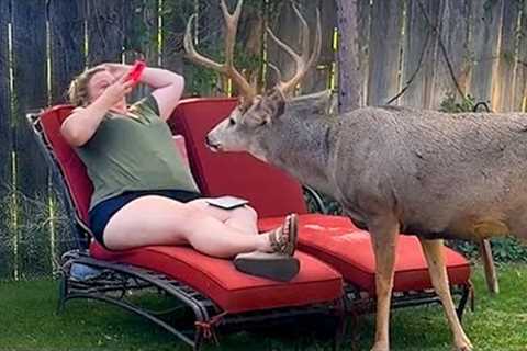 When Animals Think No One's Watching Backyard Edition 😁 Funniest Animal Videos 2025