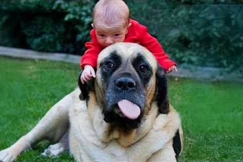 When Children Are RAISED by the LOVE of a Dog 🐶