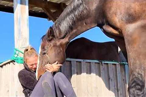 I Used To Think HORSES Were Just STRONG… Until This Moment🐎