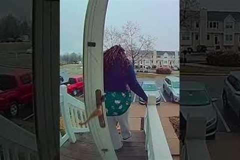 Animal Caught On Camera Moments That Will Have You HOWLING!  #funny #dogs #cat