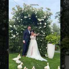 Adorable Ducks Crash Wedding! 😍🐥💖