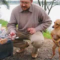 These Silly Dog and Human Moments Are a Must Watch! 🤣 Funny Dog and Human
