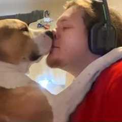 Dogs Who Are 1000  Obsessed With Their Humans 😅 Cute Dog and Human Videos