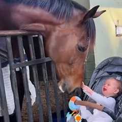 Horses Are The Sweetest Companions for Babies, This Video Proves It ❤️