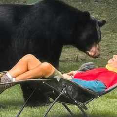 When Backyard Animal Secrets Go Viral 😁 Funniest Animal Videos 2025