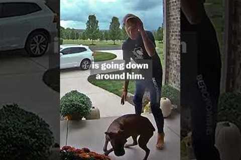 🐶 How To Make Your Dog Fireworks Ready 🎆 | Pet Pointers