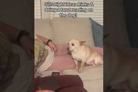 Funny Girls Do Tarot Reading On Dog