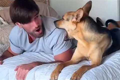 When Your Dog is Being a Talking Human 🤣 Funny Dog and Humans