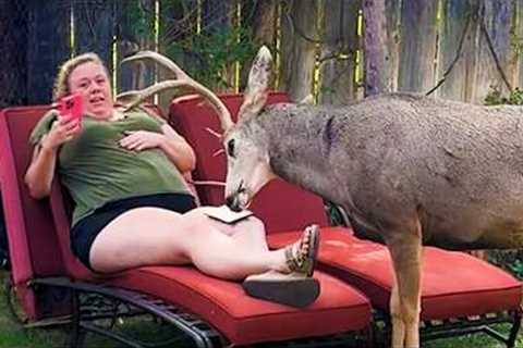 Funniest ANIMAL Videos of 2025 will 101% make you LAUGH EXTREMELY HARD 😂
